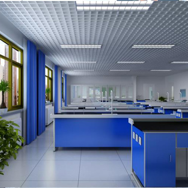 大學(xué)先修專業(yè)教室系列